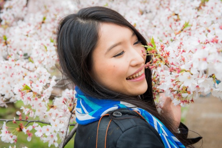 sakura9